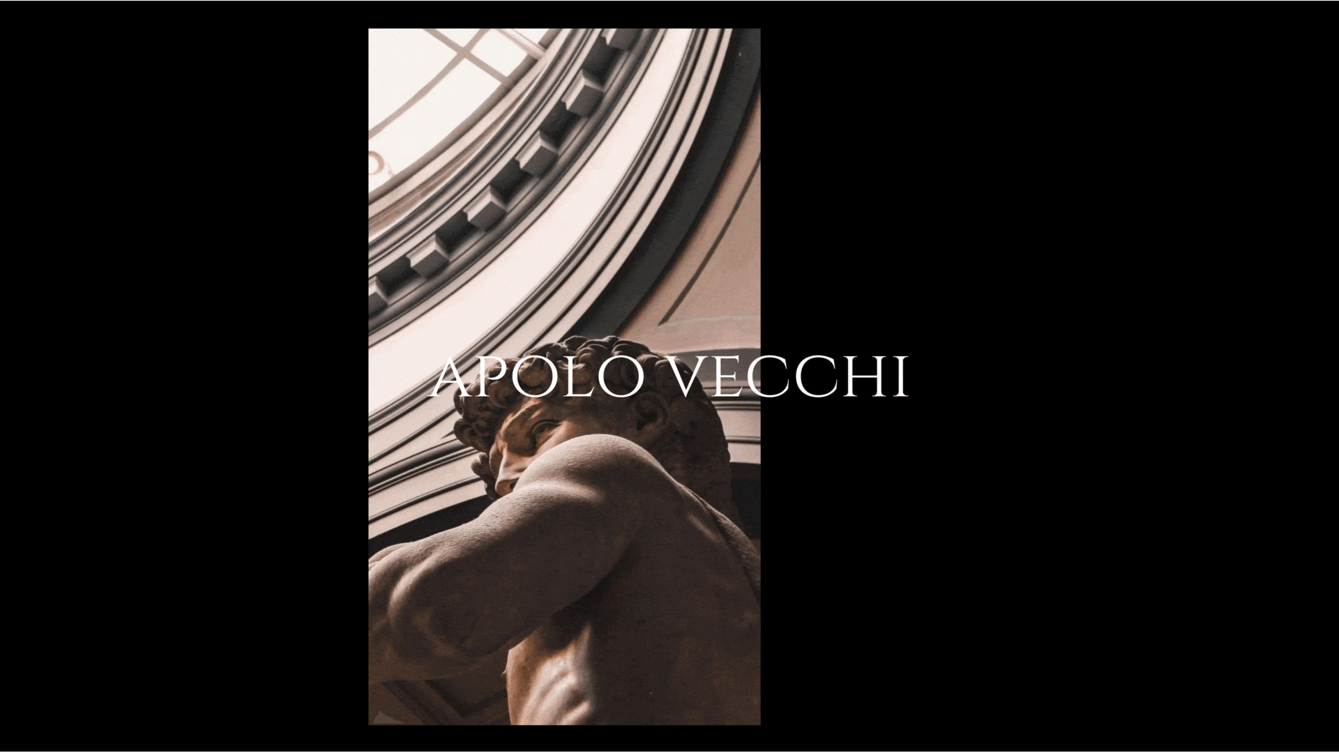 Apolo Vecchi