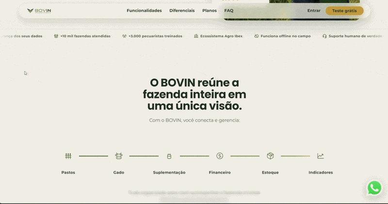 Bovin