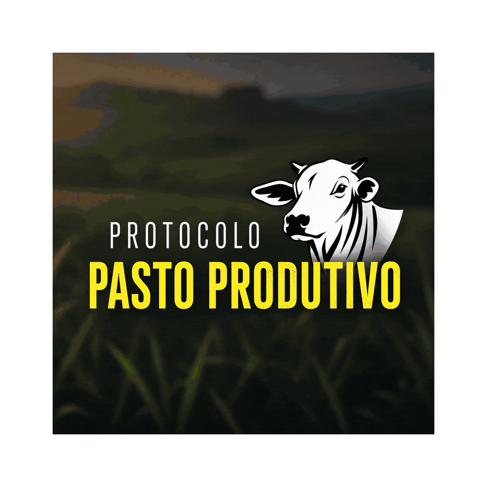 João O Pecuário