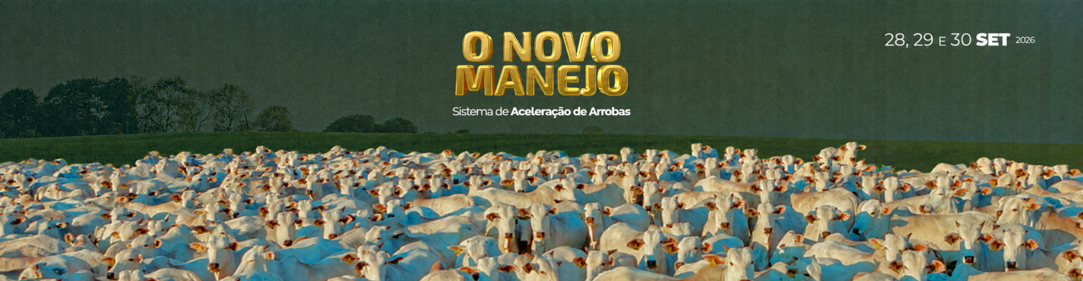 Jo&atilde;o O Pecu&aacute;rio